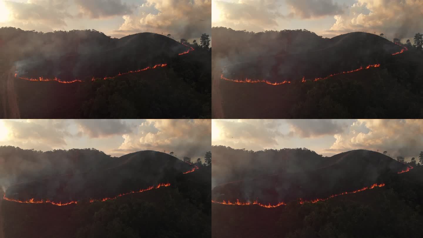 4k鸟瞰和日落时森林火灾的放大。