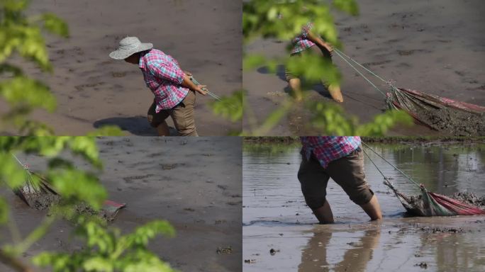 春耕 土地 春  耕耘 耕种 拖泥带水