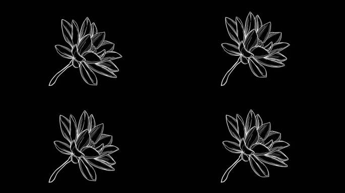 清新摇曳花朵元素带通道