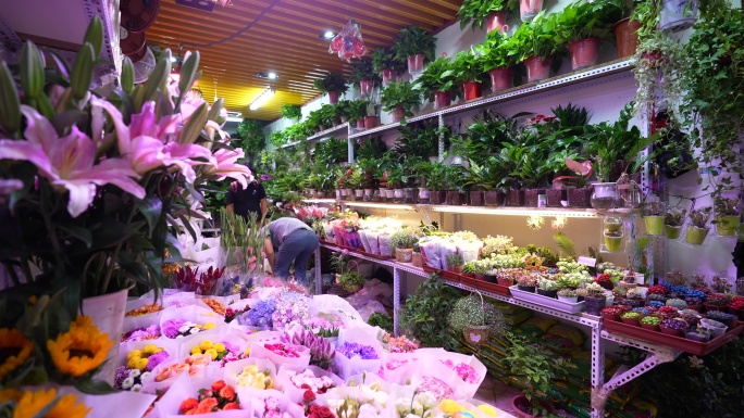 花店花圃花鸟市场实拍原素材