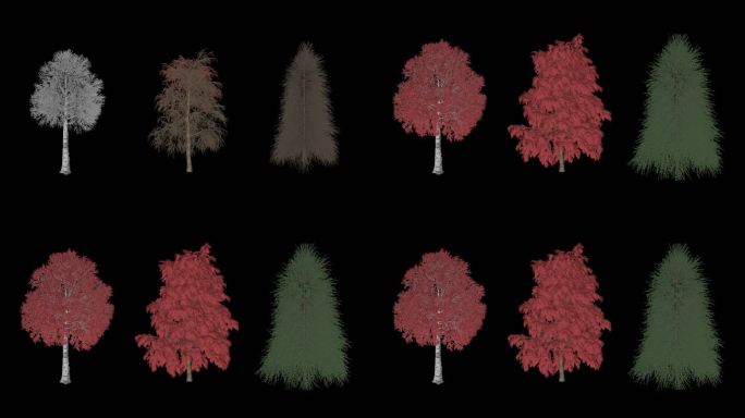 三种树木生长动画