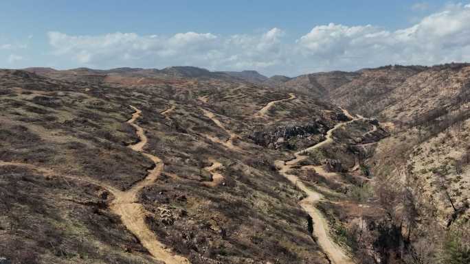 烧毁的森林烧毁的森林环境破坏道路