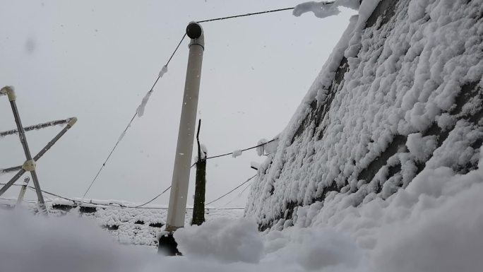 下雪 夜景 路灯 冬天 寒冬 立冬 积蓄