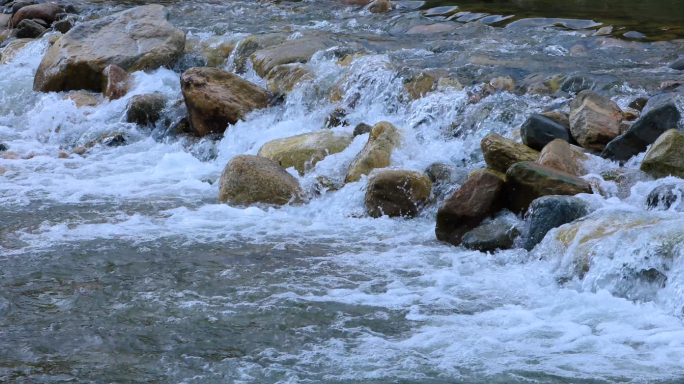 高山泉水原始森林小溪流地下活水4k