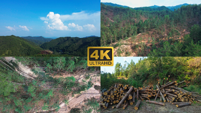 4K森林砍伐航拍