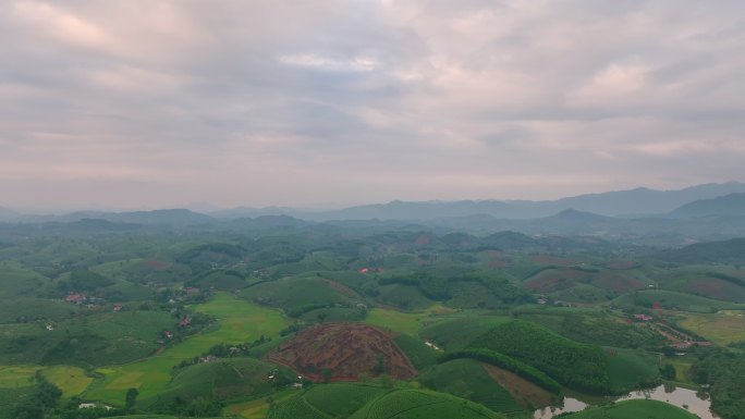 日出景色晨曦雾霭中的空中无人机摄像头飞越茶园露台，位于越南北部普陀省龙科山区