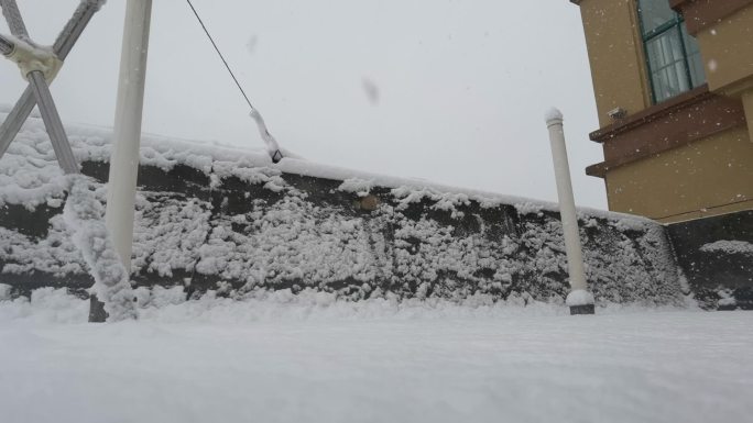 下雪 夜景 路灯 冬天 寒冬 立冬 积蓄