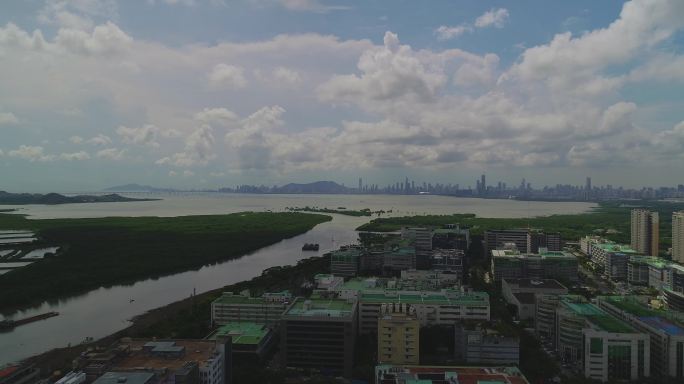 深圳湾大全景