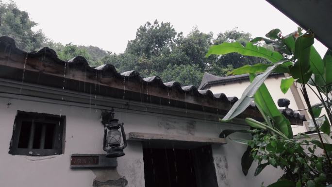 夏日雨天自然风光