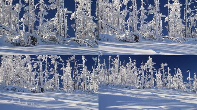 大兴安岭冬季雪林银装素裹