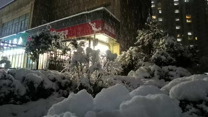 下雪 夜景 路灯 冬天 寒冬 立冬 城市