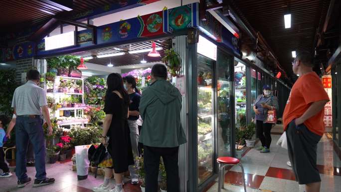 花鸟市场鲜花店顾客买花实拍原素材