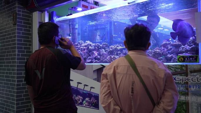花鸟市场观赏鱼海鱼鱼缸实拍原素材