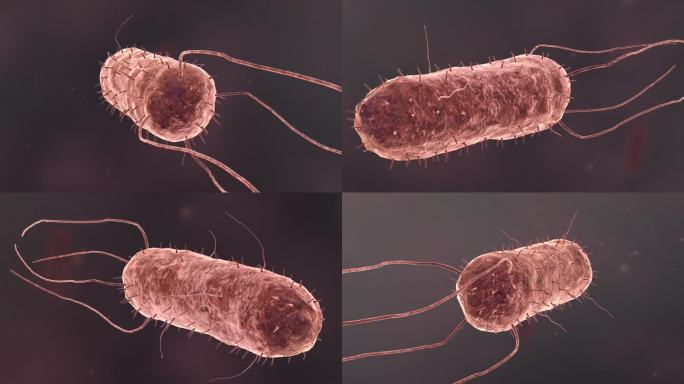 医疗病菌病毒细菌分子病原体