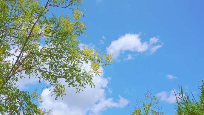 阳光明媚、蓝天白云空镜