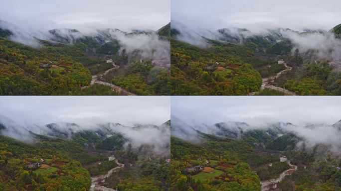 陕西黄柏源龙头山云海巴中光雾山秋景