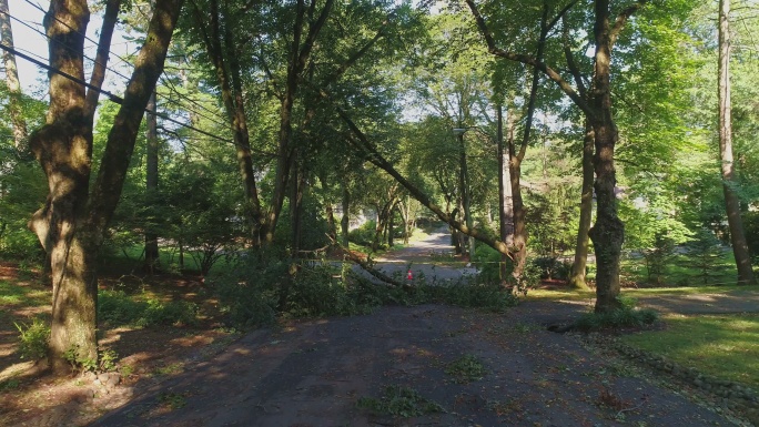 警方的路障胶带标记了由于郊区的危险风而关闭的道路。一场暴风雨过后，一棵倒下的树挡住了新泽西州一个小镇