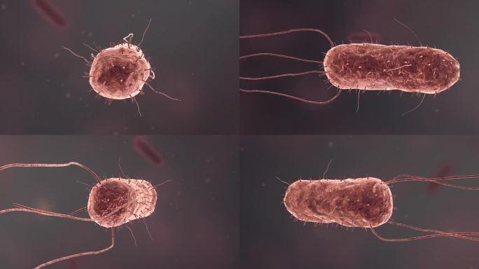 医学细菌流行传染病毒全息特效医学三维动画