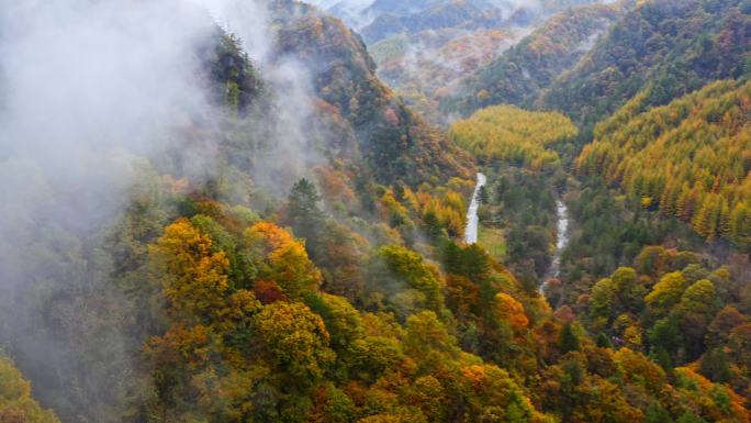 陕西黄柏源龙头山云海巴中光雾山秋景