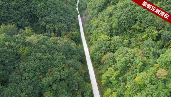 航拍穿越森林的公路旅行