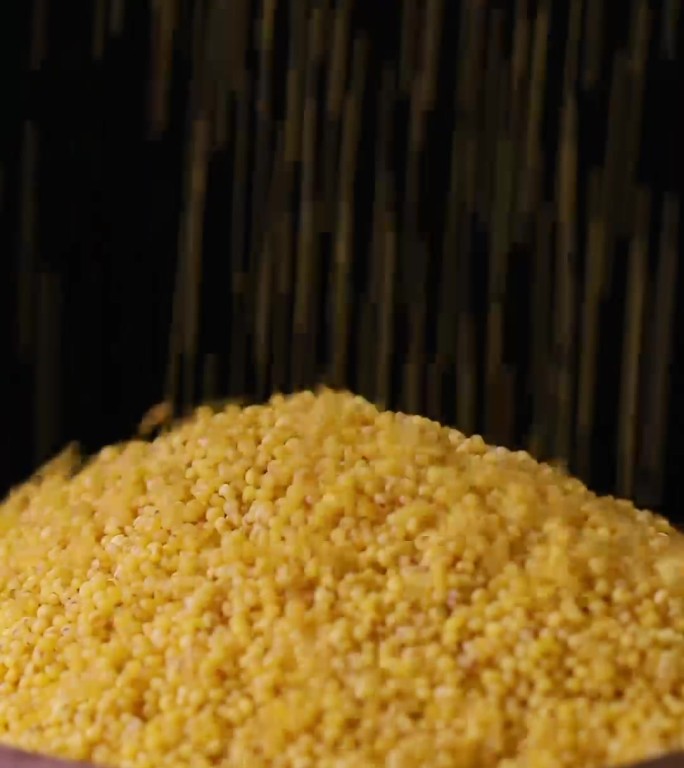 黄小米新米小黄米小米粥米粗粮小米粮