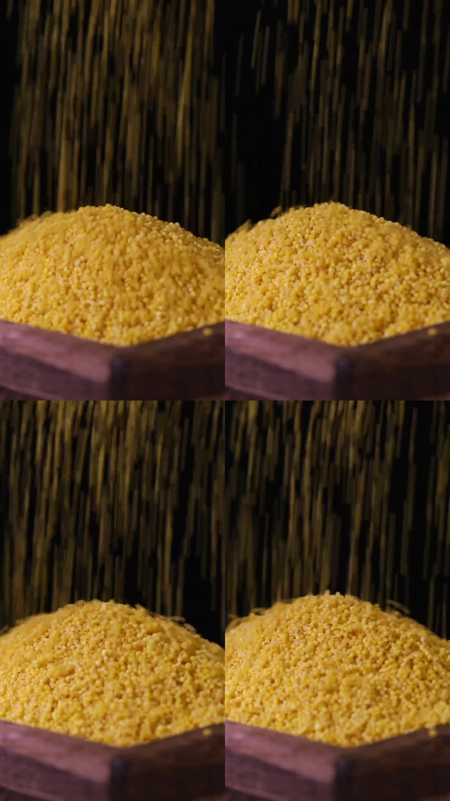 黄小米新米小黄米小米粥米粗粮小米粮