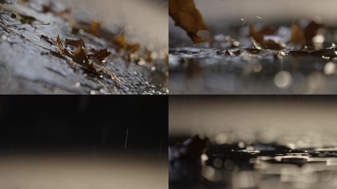 秋天下雨,枯叶，雨中的落叶，伤感空镜头