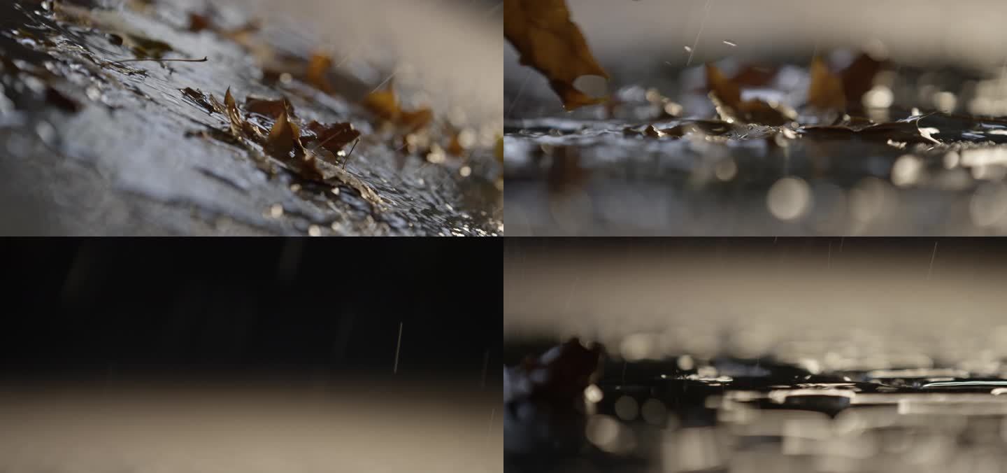 秋天下雨,枯叶，雨中的落叶，伤感空镜头