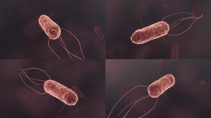 医疗病菌病毒细菌分子病原体医学动画视频