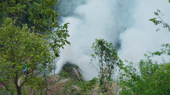 焚烧秸秆 污染 大气污染