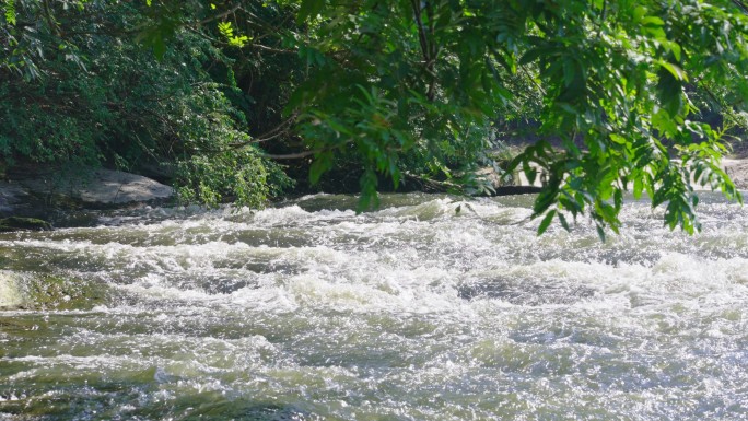 【原创】河流流水河水水源山泉水大自然4K