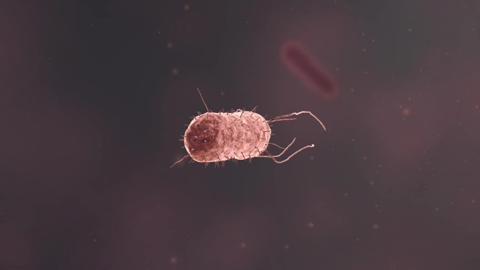 医学细菌流行传染病毒微生物医学三维动画