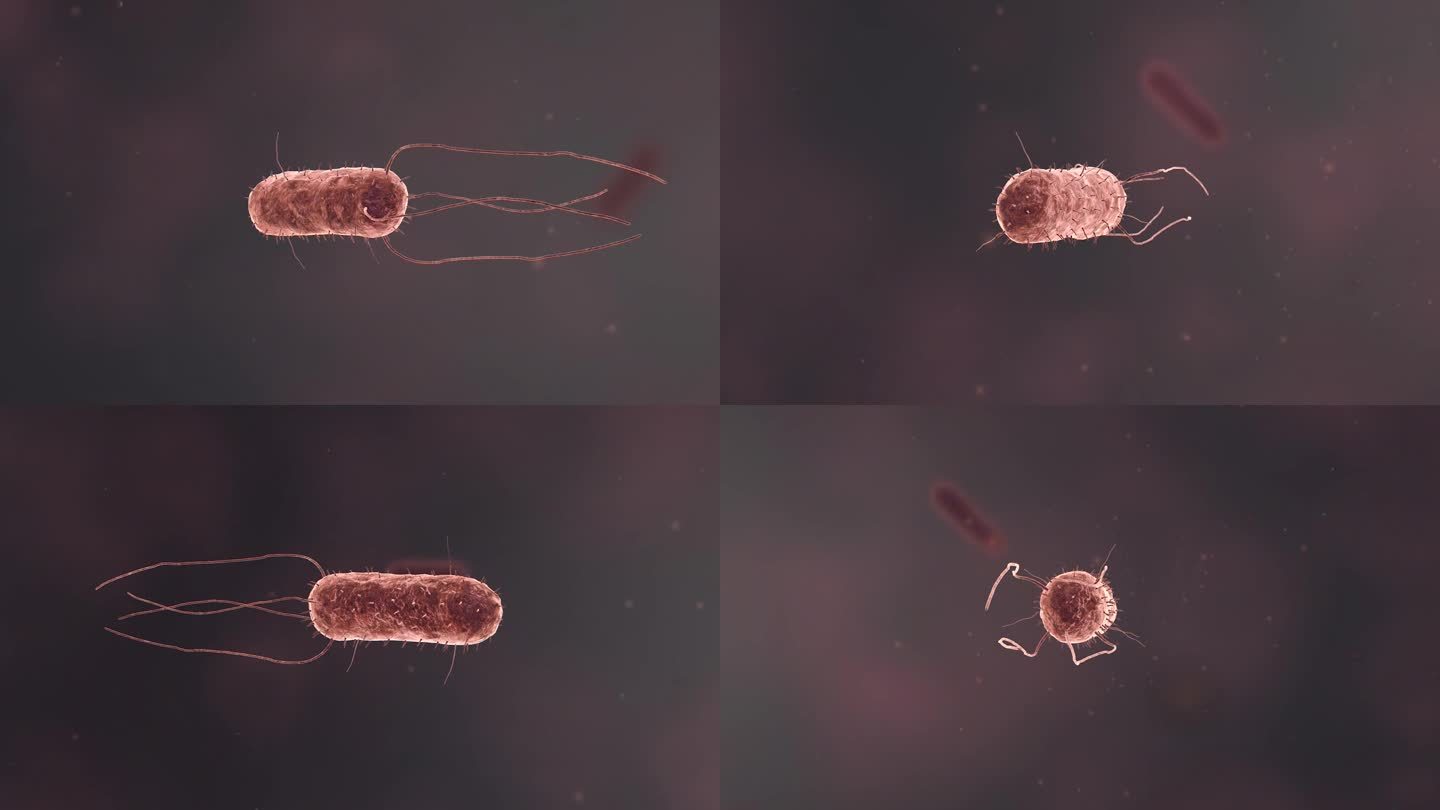 医学细菌流行传染病毒微生物医学三维动画
