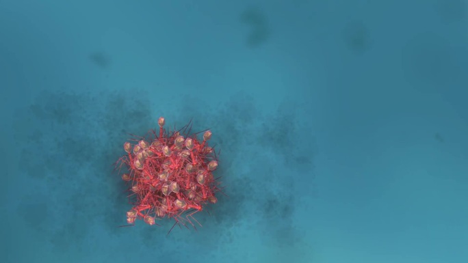 病毒细菌传染感染RNA病毒传播医学动画