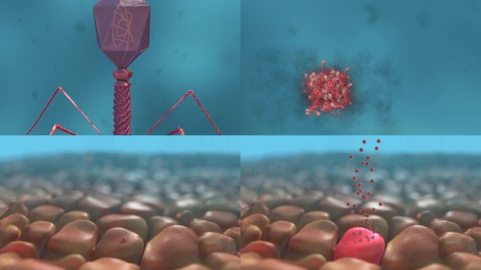 病毒细菌传染感染RNA病毒传播医学动画