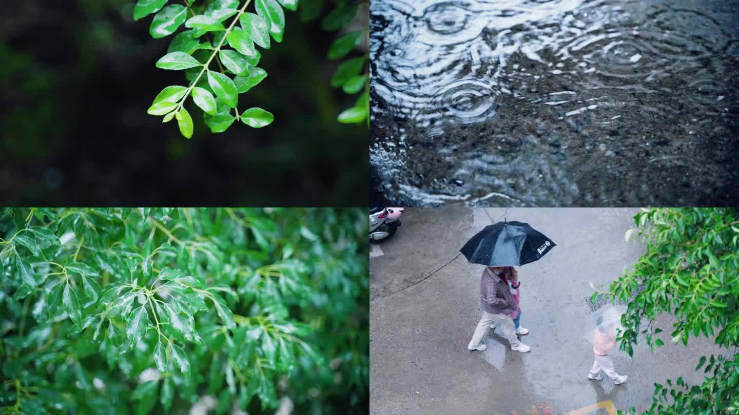 下雨意境雨滴树叶特写小区人物打伞阴天惆怅