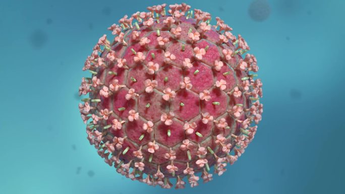 病毒细胞新冠肺炎病毒医学三维动画复杂病毒