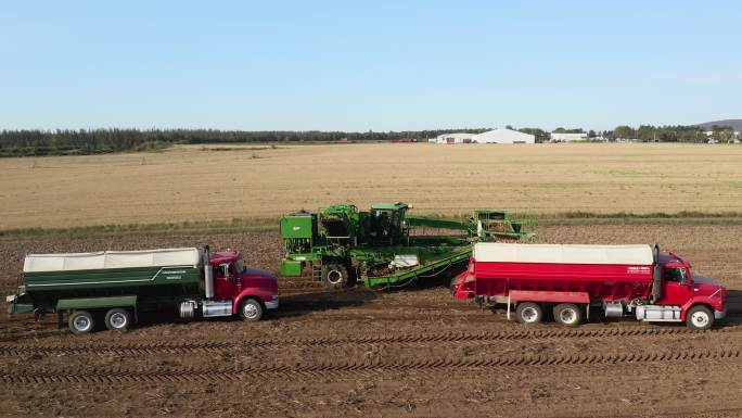 收获新鲜土豆的卡车和农业机械鸟瞰图