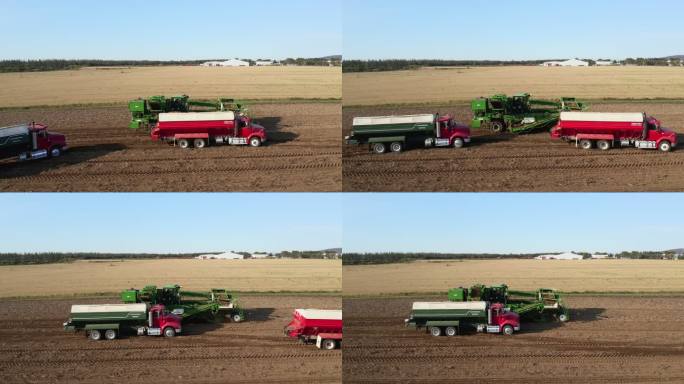 收获新鲜土豆的卡车和农业机械鸟瞰图