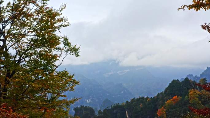 四川巴中光雾山云飞岭