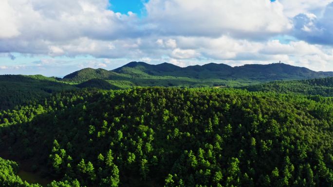 大片森林航拍 绿水清山