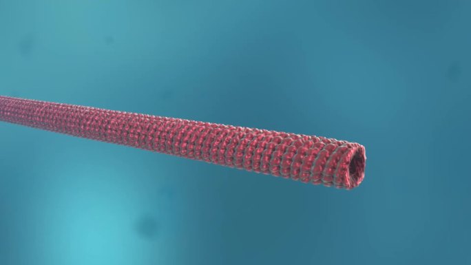 病毒细胞形态类型医学三维动画烟叶花叶病毒