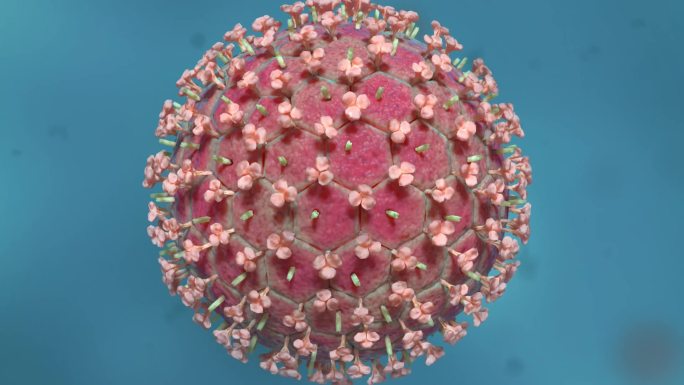 病毒细胞形态类型医学三维动画新冠肺炎病毒