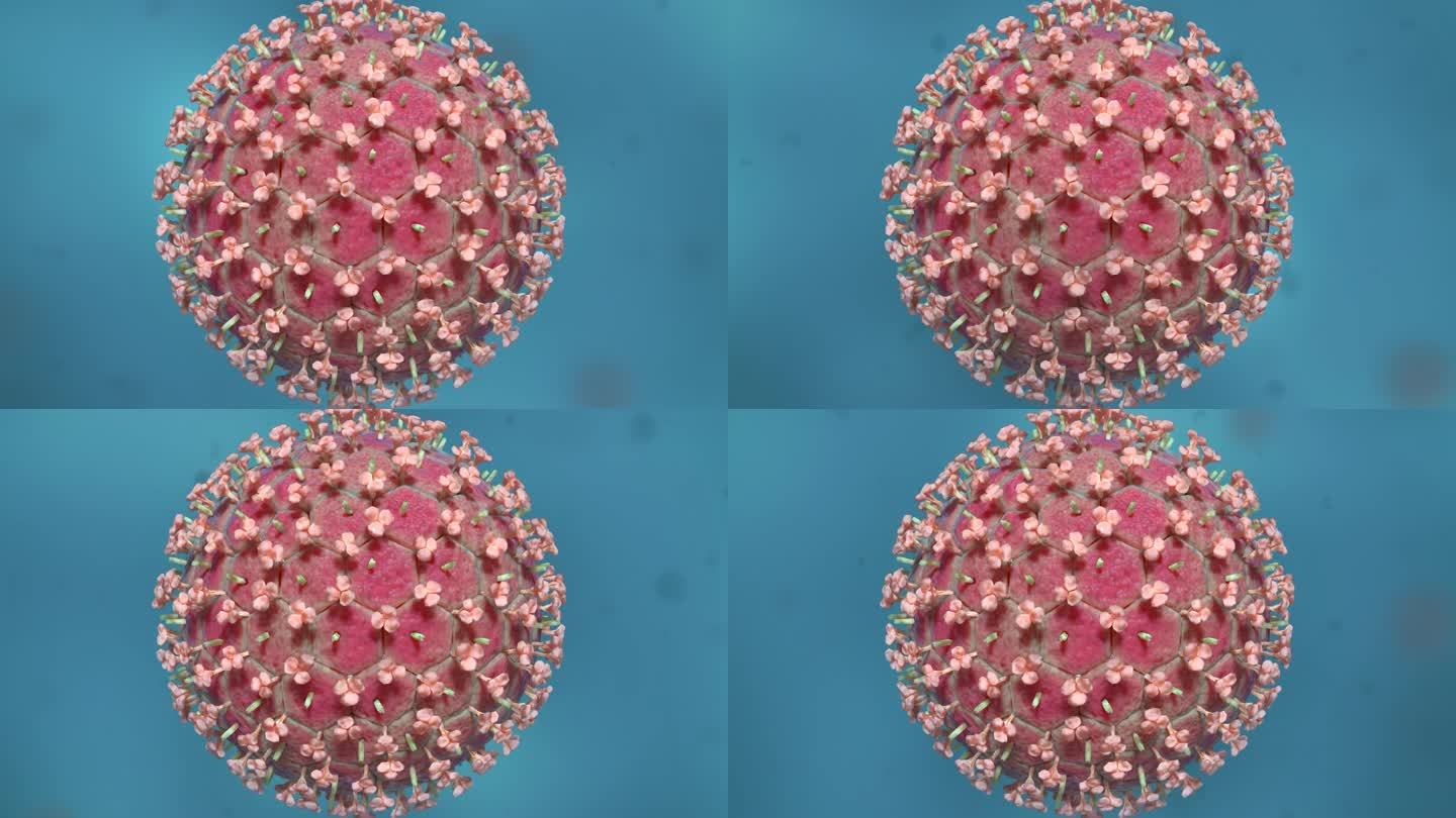 病毒细胞形态类型医学三维动画新冠肺炎病毒