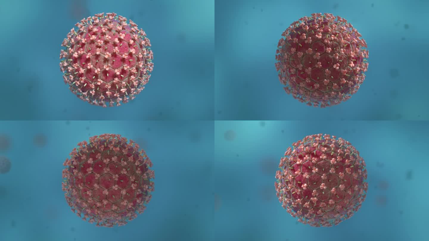 医学微流感病毒病菌细胞形态展示动画