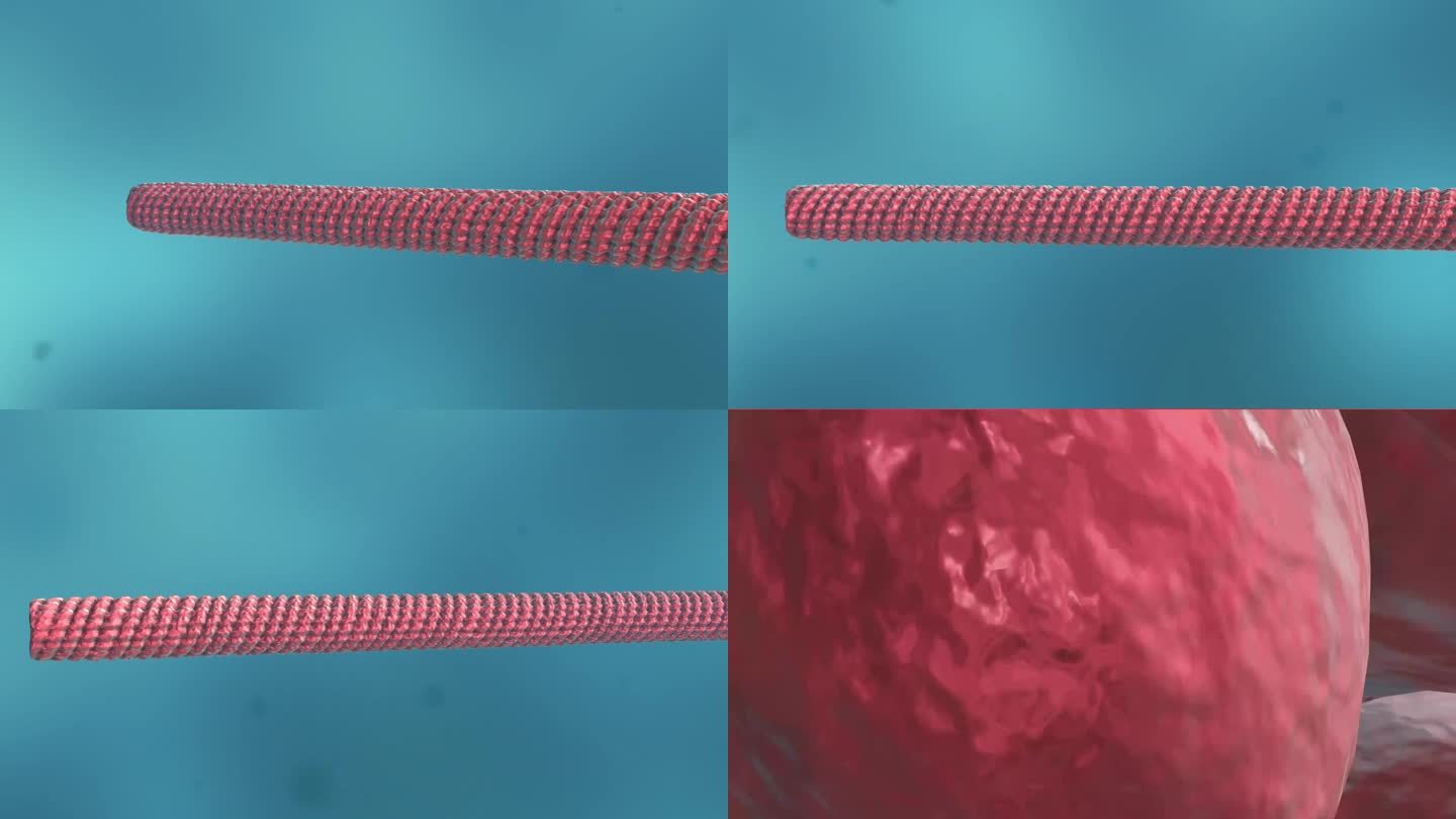医学烟叶花叶病毒细胞形态医疗三维动画展示