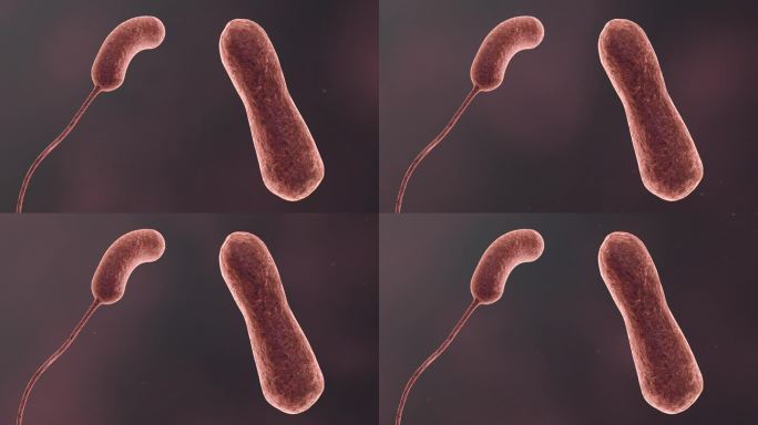 医学细菌流行传染病毒全息医学三维动画素材