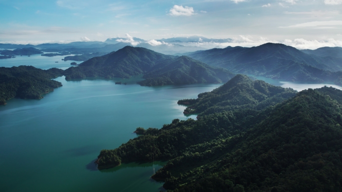 唯美森林竹林山水流水绿色植物大自然空镜