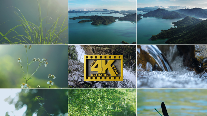 唯美森林竹林山水流水绿色植物大自然空镜