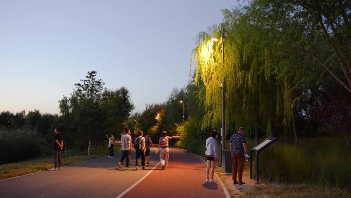 夜晚公园道路上散步的人群